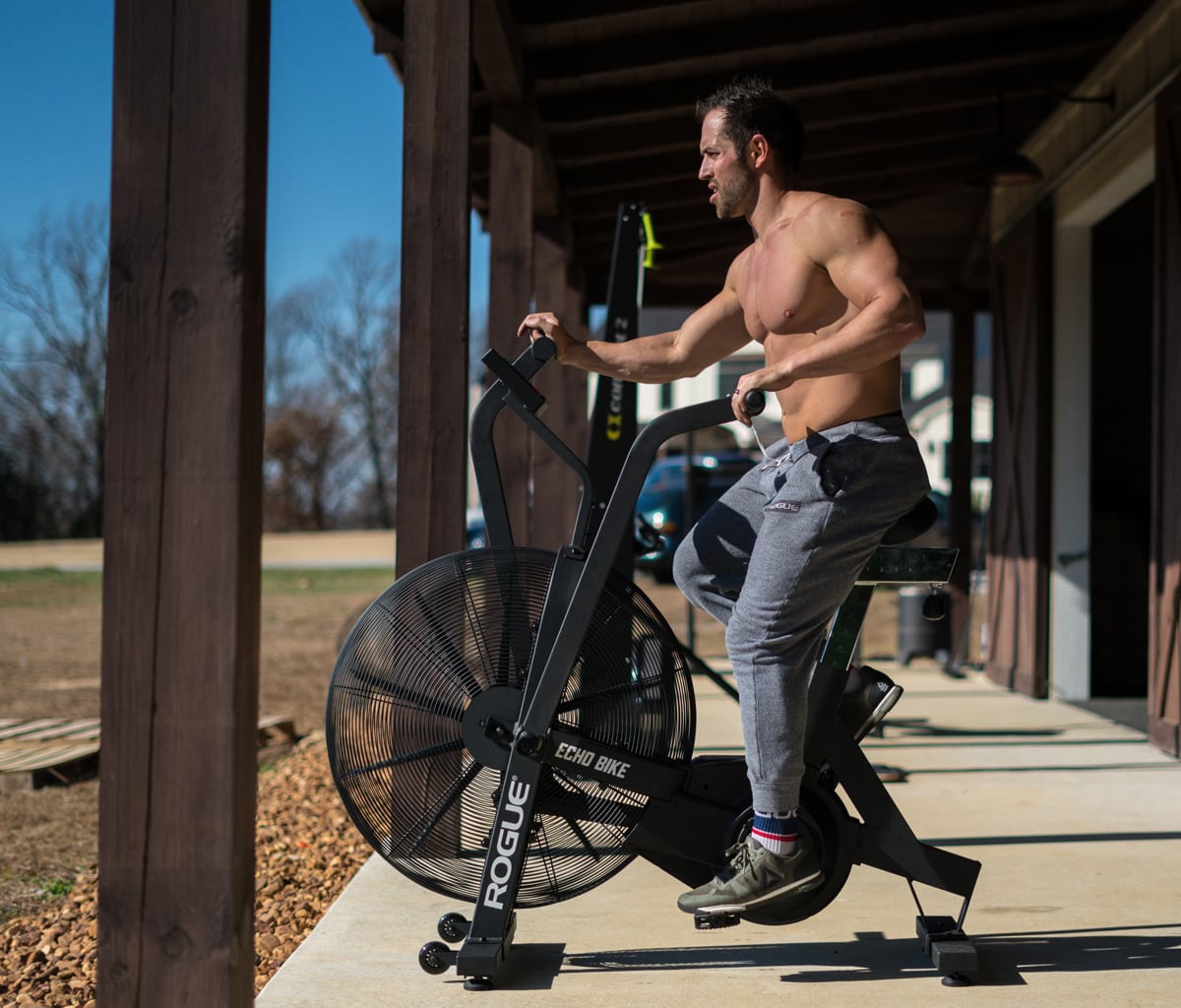 rogue fitness airdyne bike