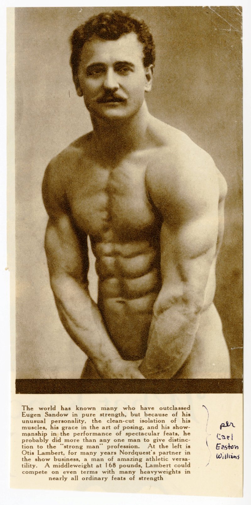 Eugen Sandow physique portrait Rogue Australia