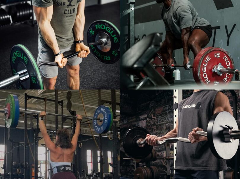 EZ Curl Bar vs. Straight Bar: Which Should You Use?